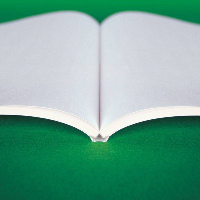 Fastback Perfectback LF Strips A4 For Fastback Model 15XS