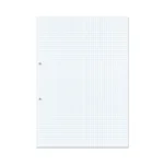 RHINO A4 Punched Exercise Paper 1000 Pages / 500 Leaf 5mm Squared