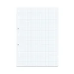 RHINO A4 Punched Exercise Paper 1000 Pages / 500 Leaf 7mm Squared